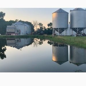 Meet your Posher, Dennis